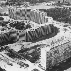 Historia Gaju