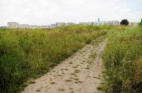 Spotkanie informacyjne – Wzgórze Gajowe