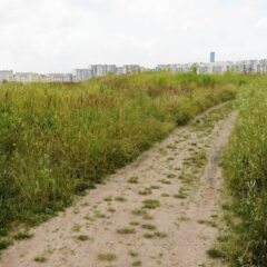 Spotkanie informacyjne – Wzgórze Gajowe