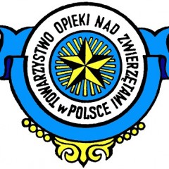 Apel „Chrońmy koty”