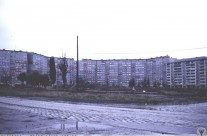 Tajemnice ulic na Gaju