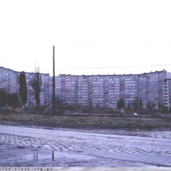 Tajemnice ulic na Gaju