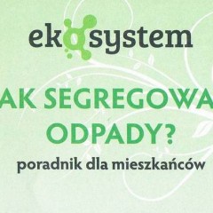 Jak właściwie segregować śmieci?