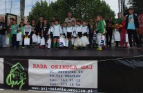 Galeria zdjęć oraz podsumowanie Festynu osiedlowego „Witamy lato na Gaju”
