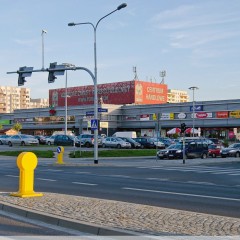 Wystawa „Oczaruj nas Gajem” w Ferio Gaj