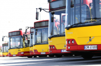 Autobusy powrócą na Armii Krajowej!