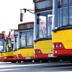 Autobusy powrócą na Armii Krajowej!