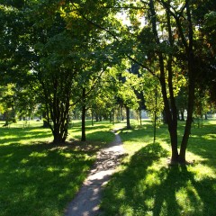 Park Skowroni – świetne miejsce na bieganie na Gaju!