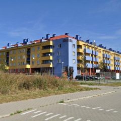 Będzie nowy park na Gaju. Miasto zapyta mieszkańców, jak go urządzić