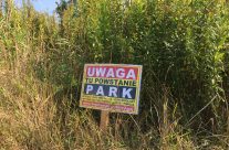 Nowy park na Gaju – konsultacje społeczne c.d.