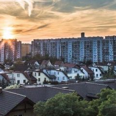 Niesamowita galeria zdjęć Gaju