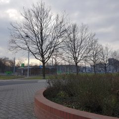 Powstaną nowe parkingi na Gaju
