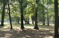 Powstanie nowy, mini-park na Gaju!