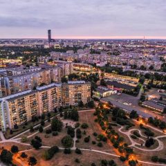 Niesamowite zdjęcie Gaju!