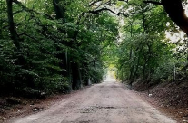 Promenada Krzycka – konsultacje społeczne