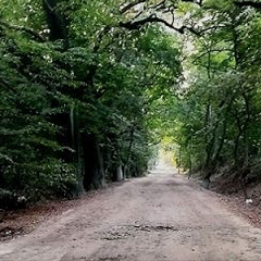 Promenada Krzycka – konsultacje społeczne