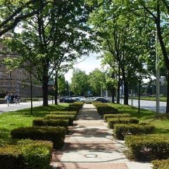 Przyjazne ulice. Nowe konsultacje społeczne.