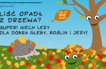 Stop grabieniu liści – akcja ekologiczna