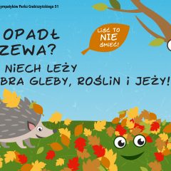 Stop grabieniu liści – akcja ekologiczna