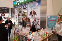 Charytatywny kiermasz Świąteczny w CH Ferio Gaj