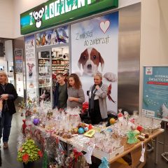 Charytatywny kiermasz Świąteczny w CH Ferio Gaj