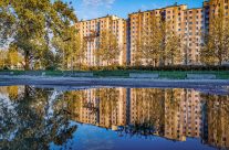 Tomek Fotografuje – piękne zdjęcia Gaju
