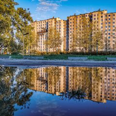 Tomek Fotografuje – piękne zdjęcia Gaju