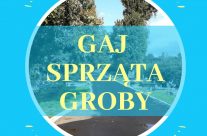 Gaj sprząta groby!