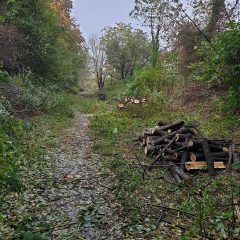 Postępy na budowie obwodnicy rowerowej Gaju (Krzyków)