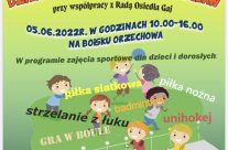 Zapraszamy na Dzień Dziecka na Gaju!