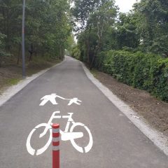 Fotorelacja z otwarcia nowego odcinka Promenady Krzyckiej