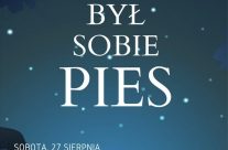 Kino plenerowe w Parku Słonecznym!