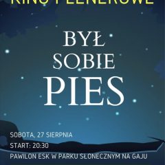 Kino plenerowe w Parku Słonecznym!