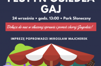 Festyn Osiedlowy na Gaju!