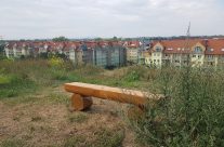 Nowe ławki na Wzgórzu Gajowym