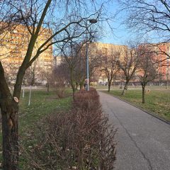 Bezpieczeństwo i komfort życia na Osiedlu