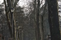 Co słychać w Parku Skowronim ?