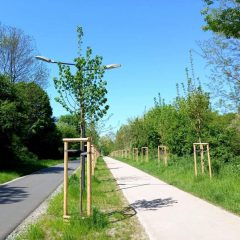Promenada Krzycka zyskała nowy atut !