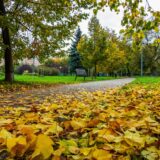 Ankieta na temat strategii adaptacji do zmian klimatu