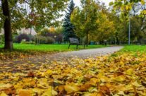 Ankieta na temat strategii adaptacji do zmian klimatu