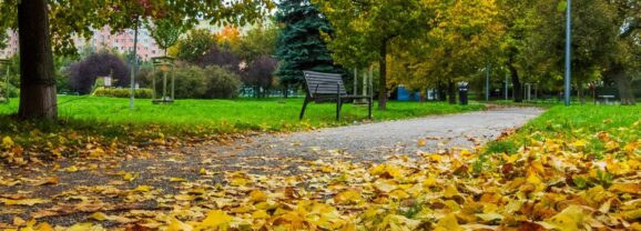 Ankieta na temat strategii adaptacji do zmian klimatu