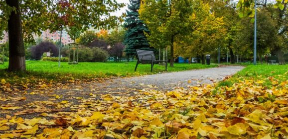 Ankieta na temat strategii adaptacji do zmian klimatu