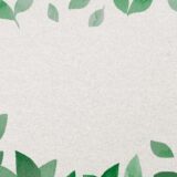 Wrocławski Ekosystem – Najważniejsze Informacje