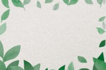 Wrocławski Ekosystem – Najważniejsze Informacje