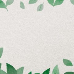 Wrocławski Ekosystem – Najważniejsze Informacje