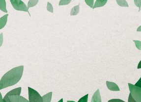 Wrocławski Ekosystem – Najważniejsze Informacje