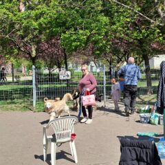 Sprzątanie wybiegu dla psów i kotów [Fotorelacja]