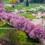 Piękna Aleja w Parku Słonecznym