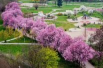 Piękna Aleja w Parku Słonecznym