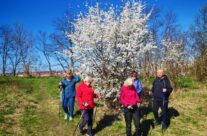 Warsztaty „Ruch, opowieść, wspólnota”